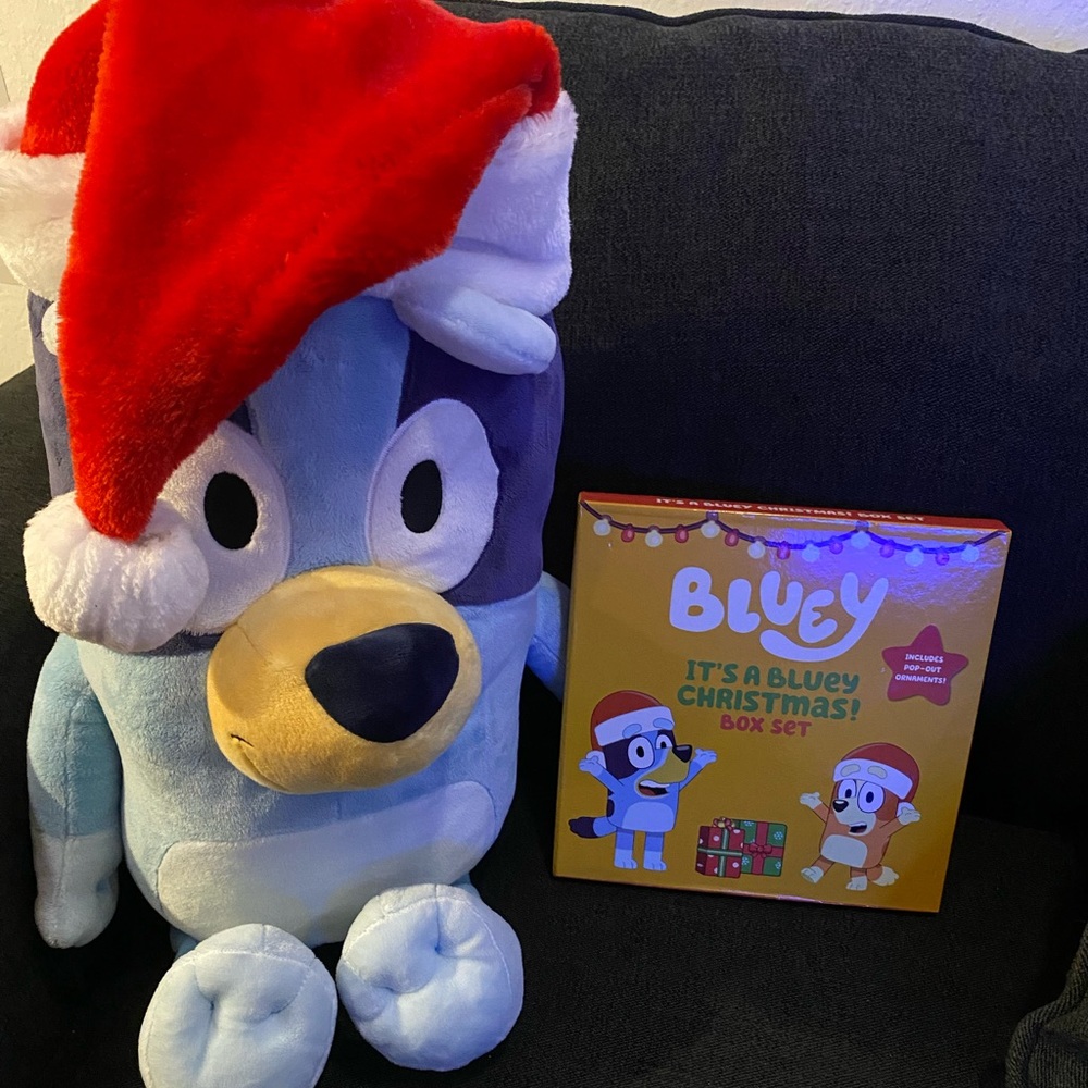 BLUEY HOLIDAY BOOKS SET